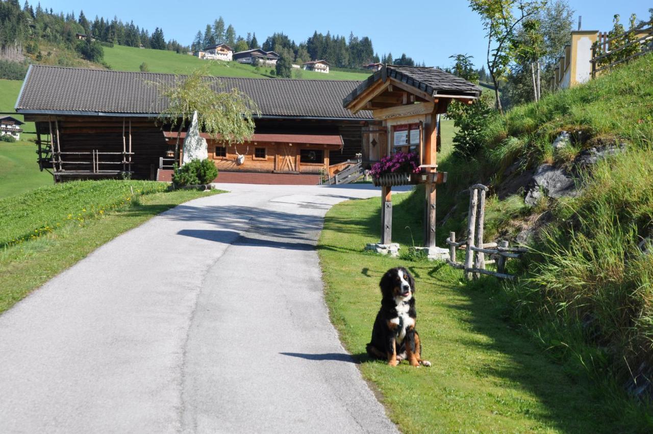 Das "Zwislegggut" Wagrain Exterior photo